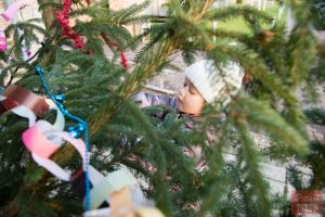 Ubieranie choinki 16.12.2017