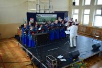 Przegląd kwiat paproci