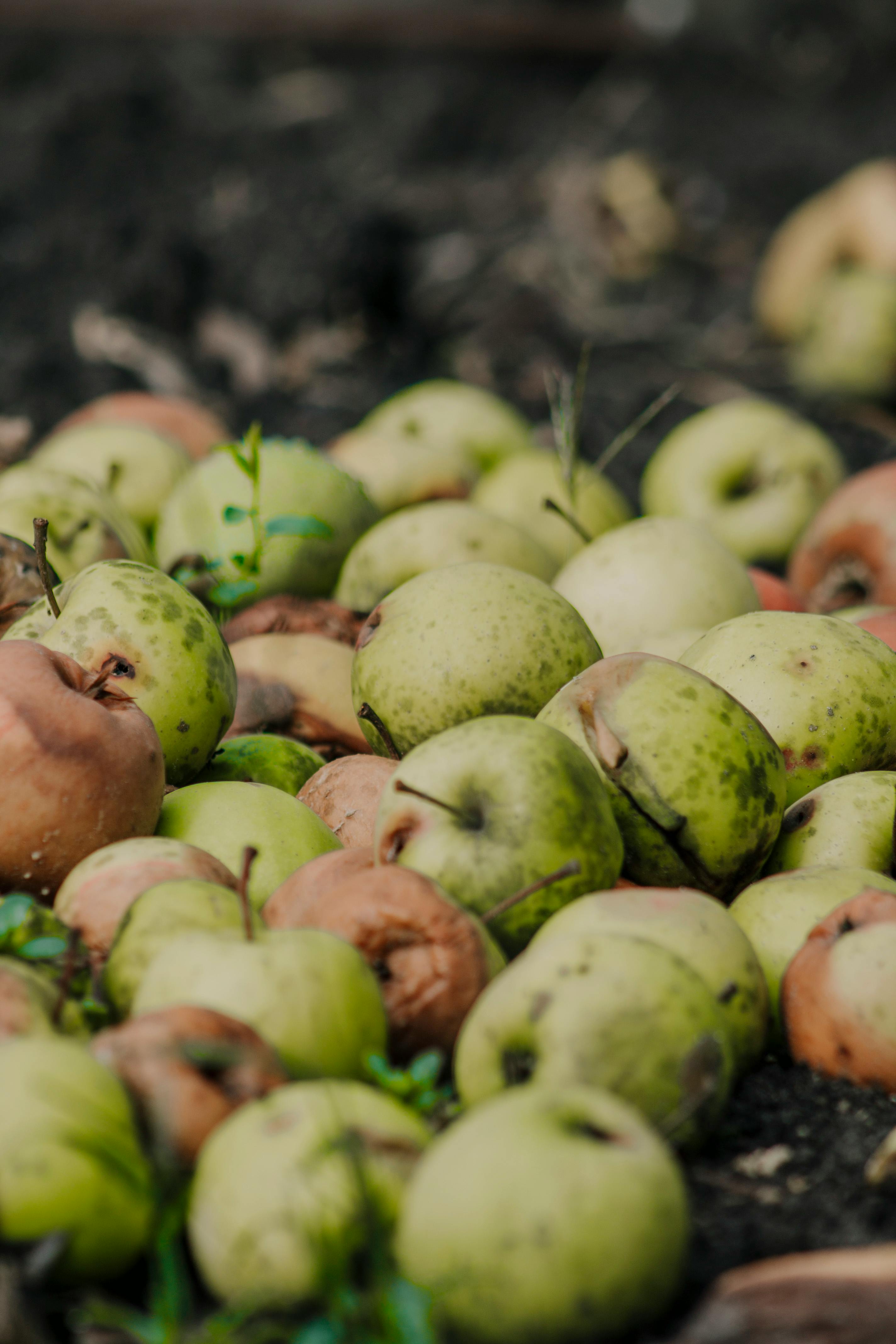 Omyłka pisarska - informacja dla Mieszkańców