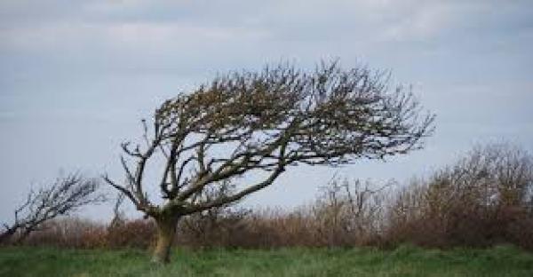 Ostrzeżenie meteorologiczne o silnym wietrze