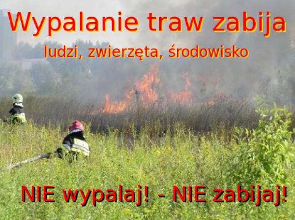 Zakaz wypalania traw