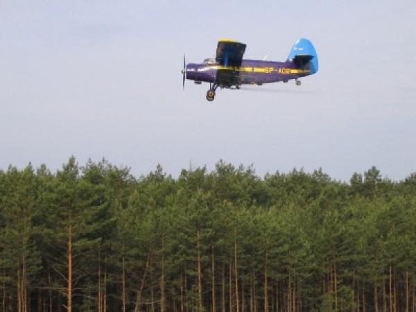 Zakaz wstępu do lasu