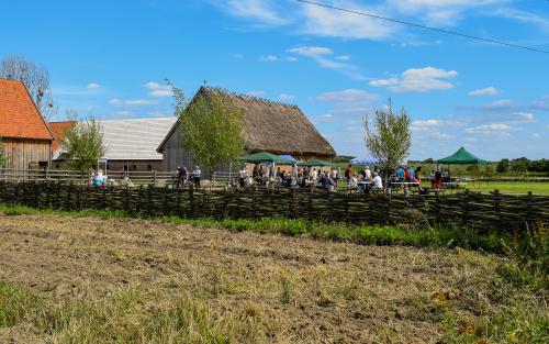 Widok budynków Olenderskiego Parku Etnograficznego