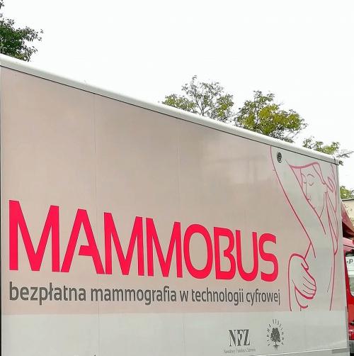 Zdjęcie mammobusa