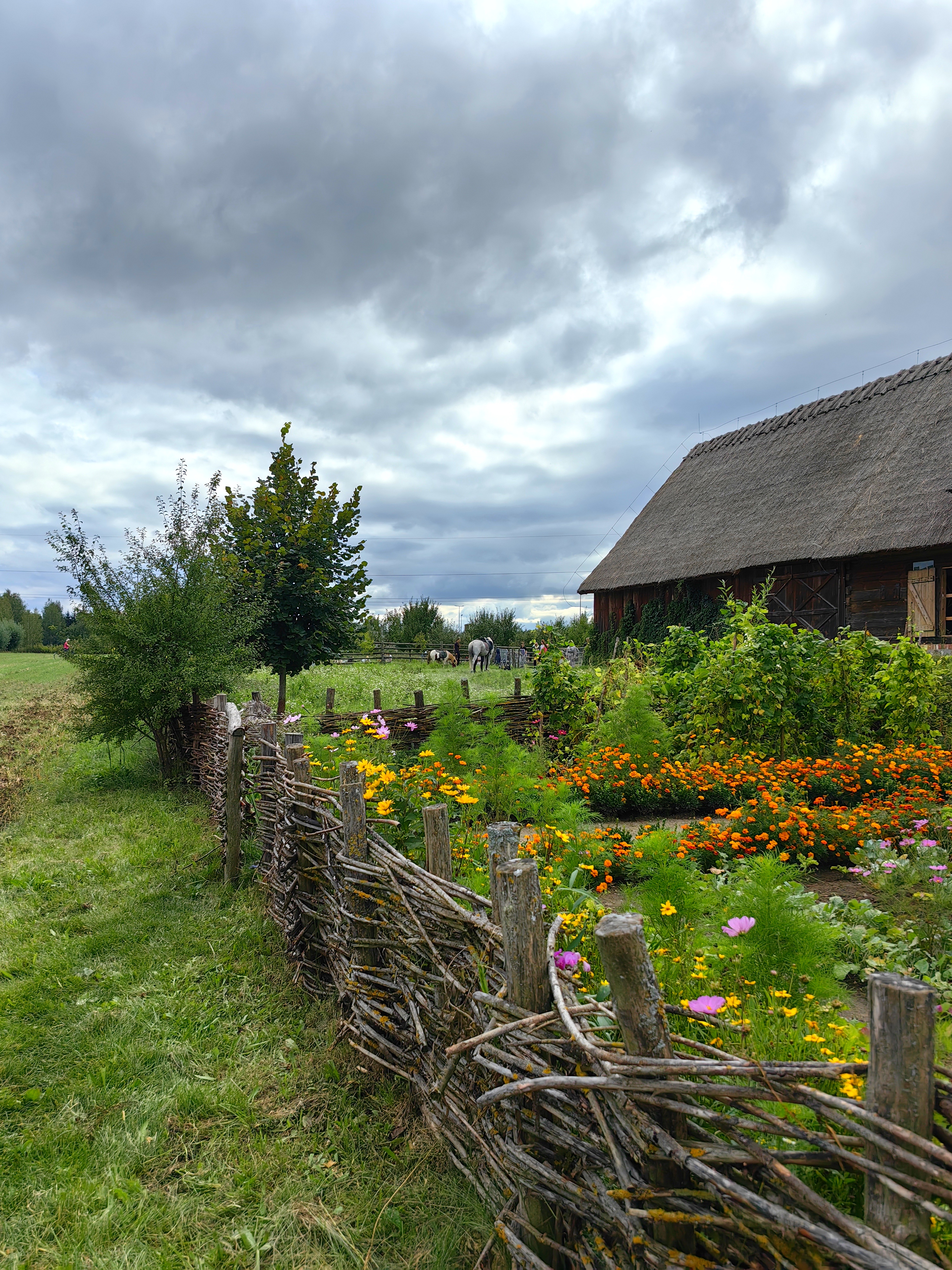 Konkurs fotograficzny