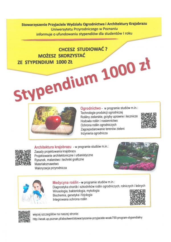 Stypendia dla studentów I roku