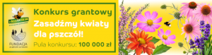 konkurs grantowy